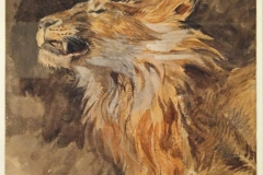 19Lion rugissant