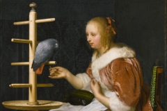 Frans van Mieris Femme au perroquet