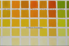 Jaune-cadmium-clair13/13