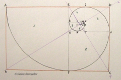 A partir du rectangle d'or ADBC :Le segment EF forme le carré 1 et le rectangle suivant EDFC Le segment GH forme le carré 2 et le rectangle suivant EDGHLe segment IJ forme le carré 3 et le rectangle EIGJLe segment KL forme le carré 4 et le rectangle KLGJLe segment MN forme le carré 5 et le rectangle MNLJLe segment OP forme le carré 6 et le rectangle MLOPLe segment QR forme le carré 7 et le rectangle MQOR Tous ces nouveaux rectangles formés en soustrayant un carré dont le côté est la largeur du rectangle précédent sont des rectangles d'or et ils sont homothétiques.Pour tracer la spirale, déplacer la pointe du compas dans chaque carré :carré 1-->centre E rayon EAcarré 2-->centre G rayon GFcarré 3 --> centre J rayon JHcarré 4 --> centre L rayon LIcarré 5 --> centre M rayon MKcarré 6 --> centre O rayon ONcarré 7 --> centre R rayon RP