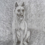 dessin, chien