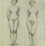 anatomie humaine, Paul Richer, anatomie femme