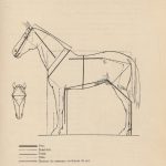 proportions cheval, anatomie cheval, Paul Richer