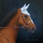 portrait,cheval,peinture,équin