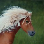 portrait équin, portrait animalier, poney Shetland,peinture à l'huile